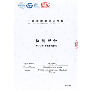 Test report of disposable protective mask